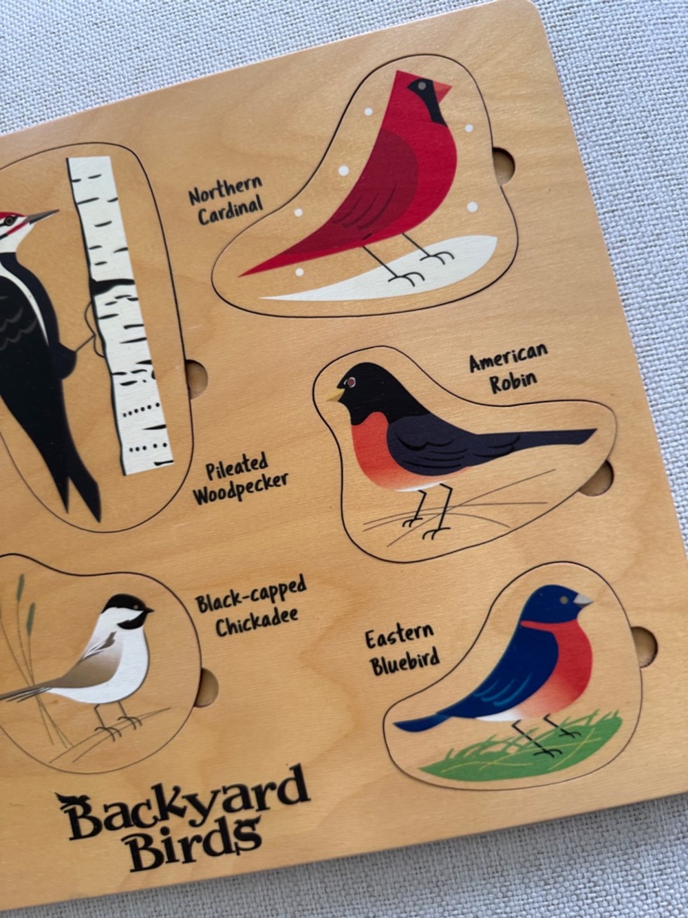 Maple Landmark Lift & Learn Backyard Birds Wooden Puzzle - Picture 4 of 11